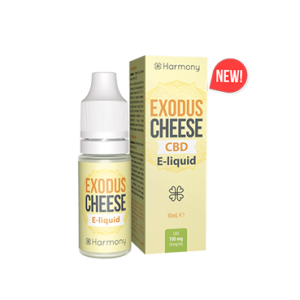 Cheese-new-icon